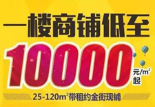 熱度持續(xù)不減！10000元/平米起買真金現(xiàn)鋪