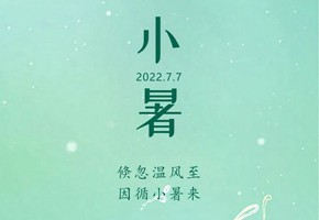 嵐泊灣丨蟬鳴聲聲小暑至，閑坐瓜田等風來